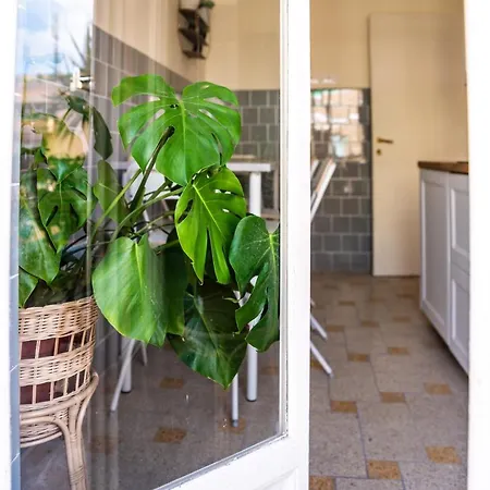 Cozysuites-vaticancity *