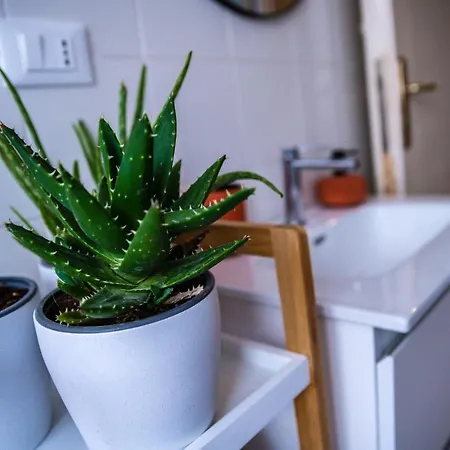 Cozysuites-vaticancity Rome